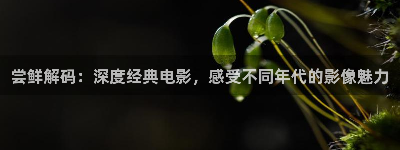 樱花影视在线免费