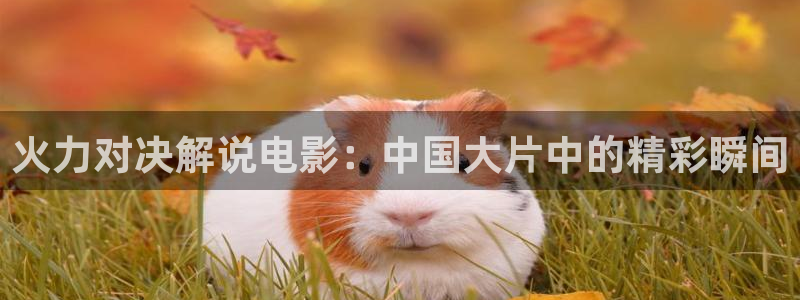 ,樱花影院