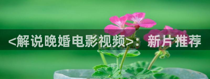 樱花影院在线