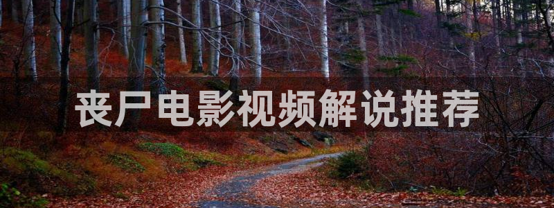樱花视频软