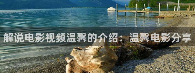 樱花影视视频