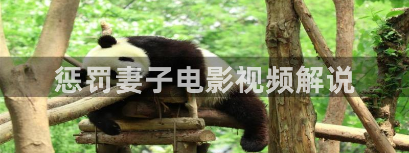 樱花影视免费在线看电视
