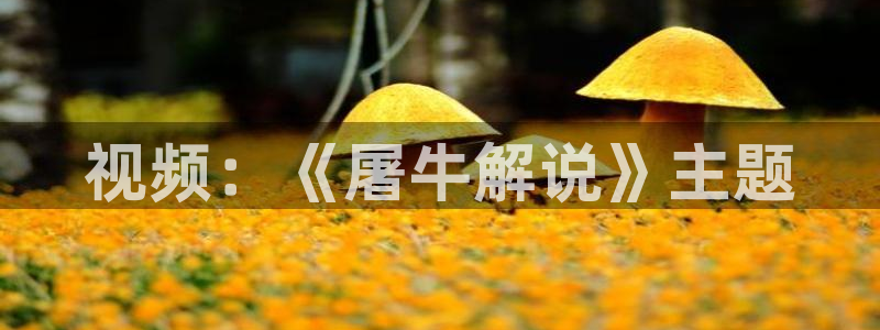樱花影院大全