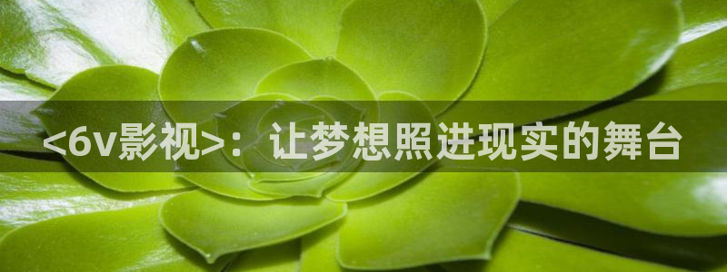樱花视频pp