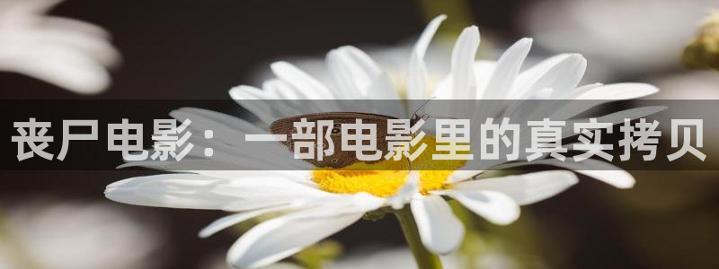 樱花视频网站网址