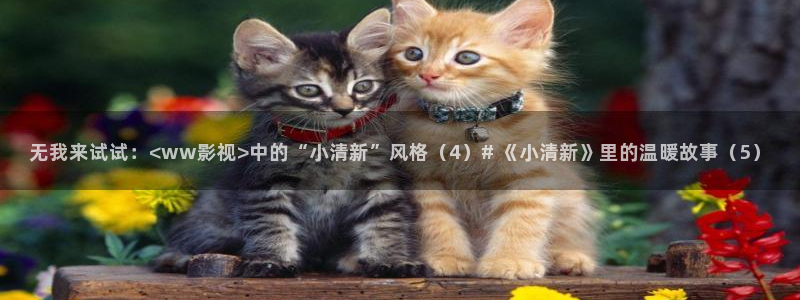 樱花视频网站