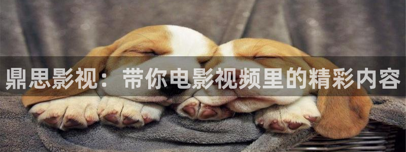 樱花视频老版本
