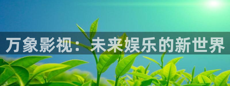樱花视频全集