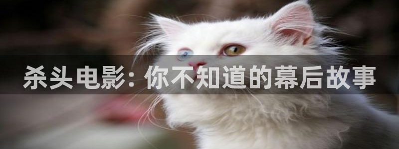 樱花视频大全免费