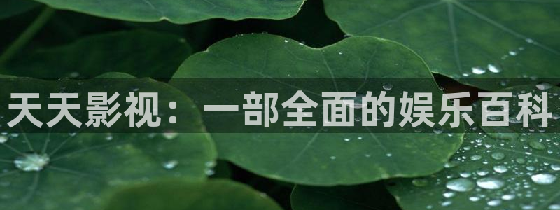 免费看的樱花视频
