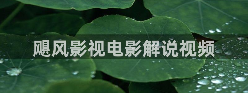 樱花视频免下载