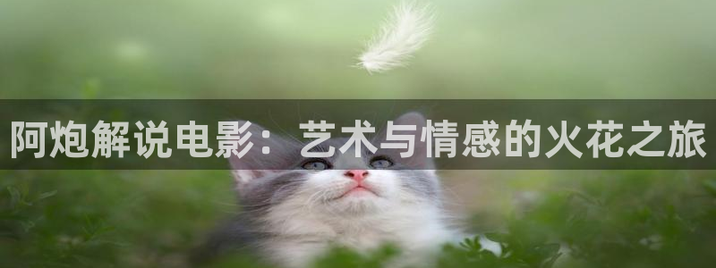 沧元图樱花视频