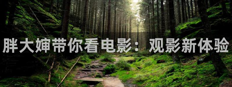 樱花视频观看高清