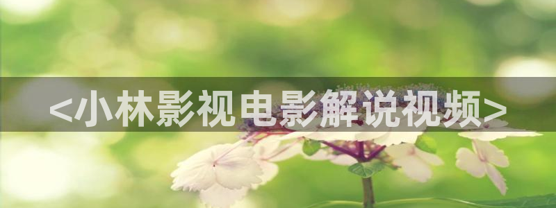 樱花视频www.