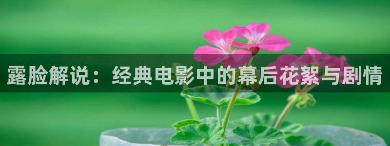 新闻图片